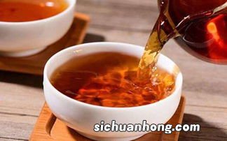 普洱熟茶发酵会有什么菌