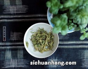 一叶知茶是什么茶