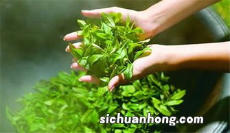 什么茶消炎