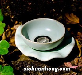 过滤茶盘上的茶叶叫什么