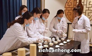 茶学出来能做什么