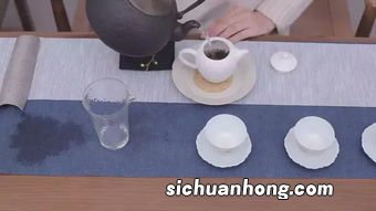 瓷壶泡什么茶