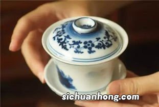 瓷壶泡什么茶