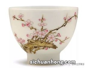瓷壶泡什么茶