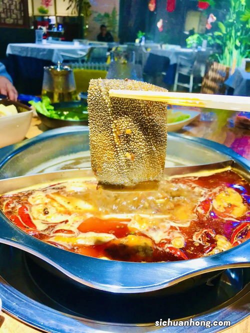 海兔要煮多久