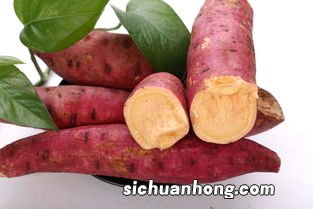 红薯和番薯怎么区分