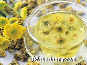 买什么菊花茶比较好