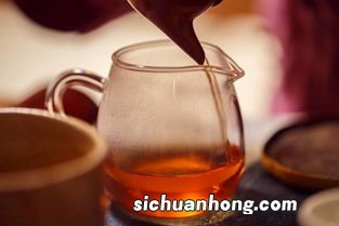 保温杯泡什么茶好