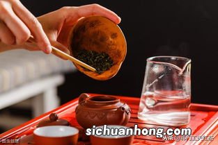 晚上适合喝什么茶