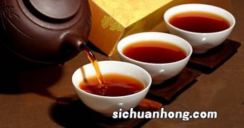 普洱茶是什么性