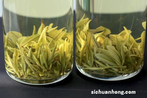 什么茶叶送人好