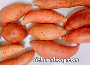 煮整个地瓜多久能熟
