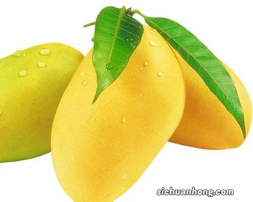 芒果和什么吃最好