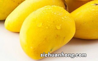 芒果和什么吃最好