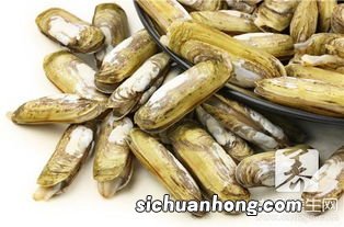 竹节蛏白灼煮多久