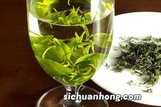 苦丁茶可以和什么一起喝