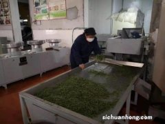 什么是茶叶加工行业