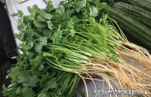 很多香菜怎么保存