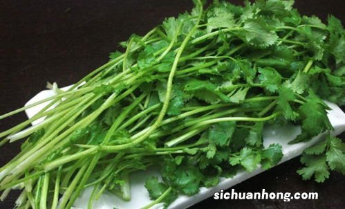 很多香菜怎么保存