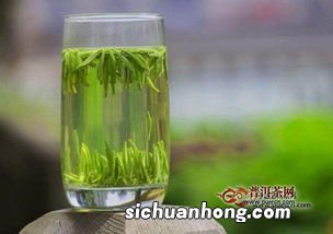 雪芽是什么茶