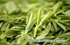 什么是名优茶