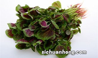 红苋菜焯水焯多久