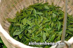 四川什么茶叶最好