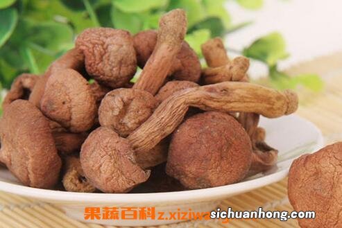 东北干红蘑要泡多久