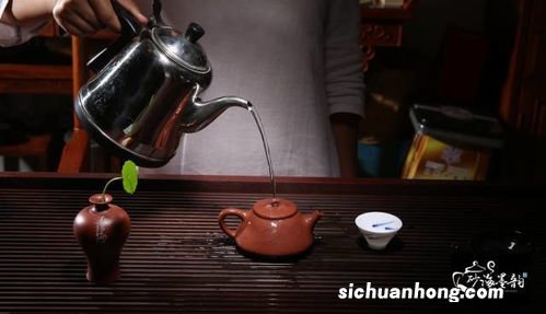 开壶用什么茶好