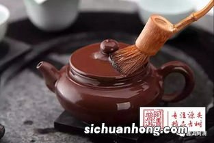 开壶用什么茶好