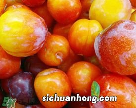 李子怎么腌保存多久