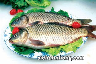 鲤鱼可以与什么煮汤