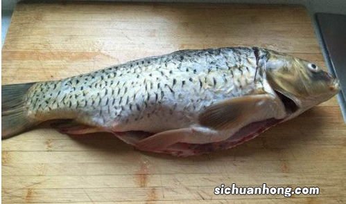 鲤鱼和什么吃最有营养