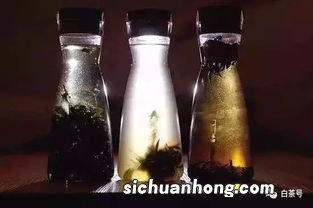 冷泡茶最多泡多久