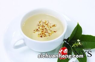 什么茶解暑