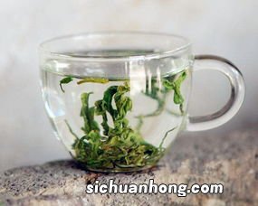 金山翠芽属于什么茶