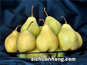 梨和什么水果一起吃好吗