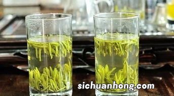 金山翠芽是什么茶