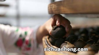 小青甘适合什么季节喝