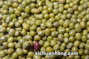 煮豆煮多久能好