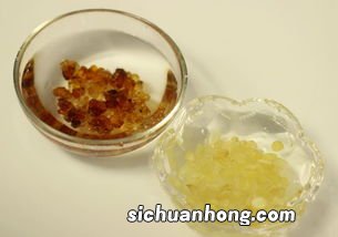 皂角米用冷水泡多久