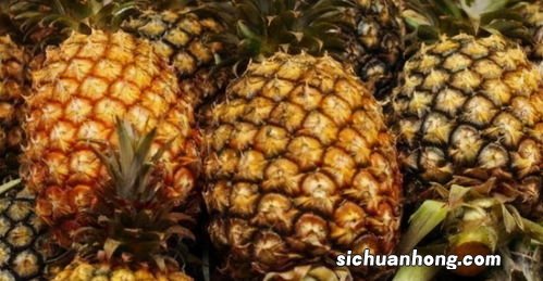 黄梨不能和什么一起吃