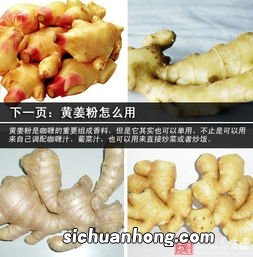黄姜粉有什么营养