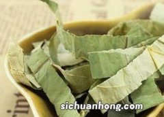 桑叶茶叶有什么功效与作用