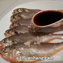 小梅鱼多久长大