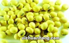 黄豆为什么不结豆子