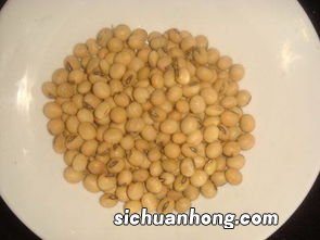 黄豆磨的粉可以做什么