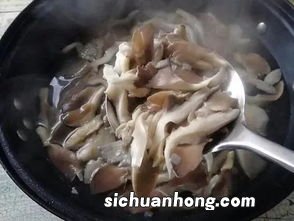 鲜蘑焯水要多久