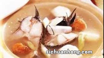 槐花煲什么适合