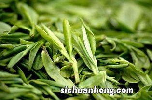 绿茶包括静什么茶